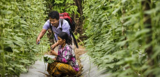 USAID's top women-owned contractors