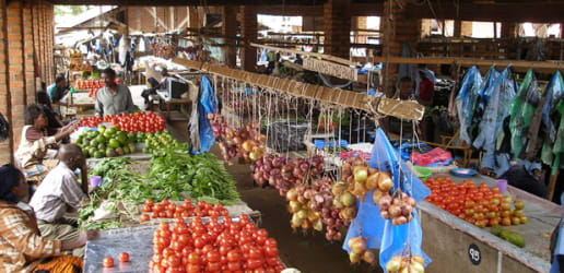 Food security brings economic growth — not the other way around