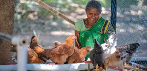 Opinion: 4 low-cost innovations increasing women farmers' resilience