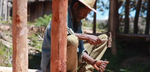 The cost of action and the price of inaction