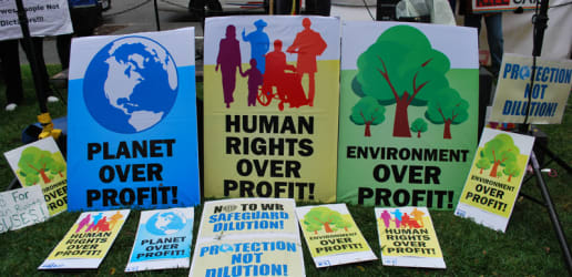 The controversy over safeguard policies 