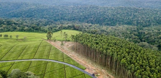 Opinion: To safeguard the planet, recognize communities’ territorial rights to land — and water