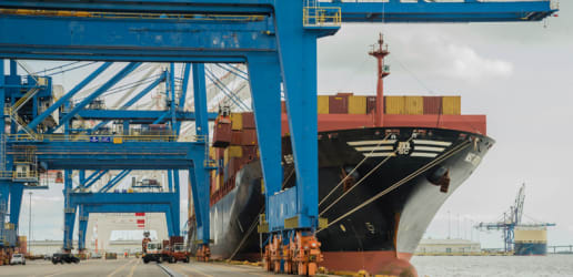 Opinion: Open trade is crucial for food security and development