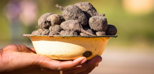 Opinion: Investment in food security is an investment in global stability. Here's why. 