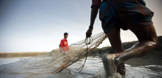Can global fisheries yield more?