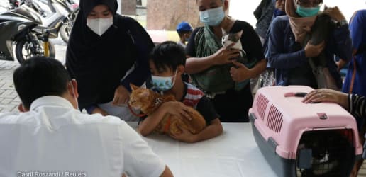 Opinion: What we can learn from the rabies response in Southeast Asia