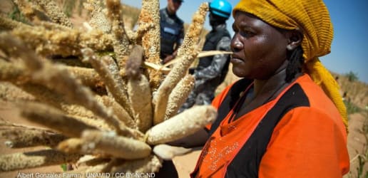 Opinion: How to end poverty in smallholder farming communities