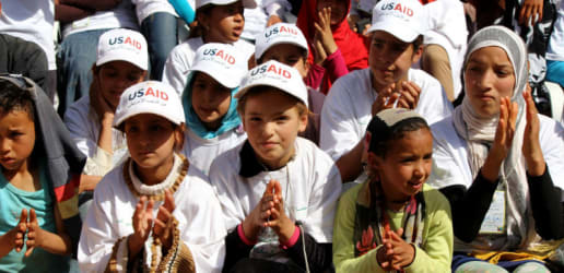 Top USAID contractors for 2015