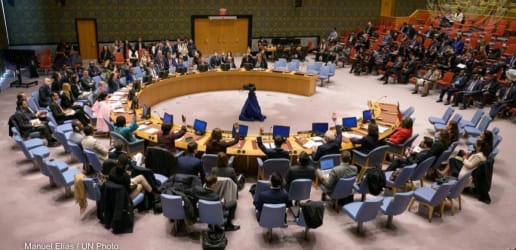 Opinion: This UN Security Council resolution is a win for humanitarians