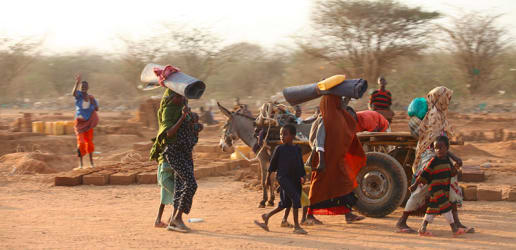 Opinion: What we're missing in the climate migration story