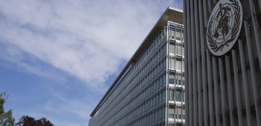 Election sees WHO's future role in question