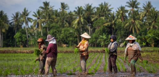 Opinion: Food systems must work better for the women working in them