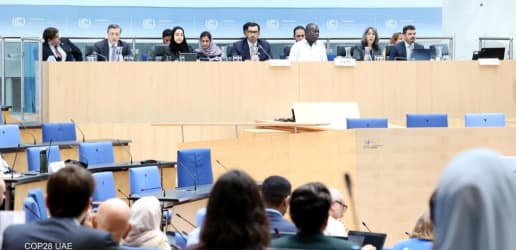 What are the main factions at COP — and what do they want? 