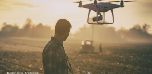 The projects harnessing AI to track, forecast, and fight hunger