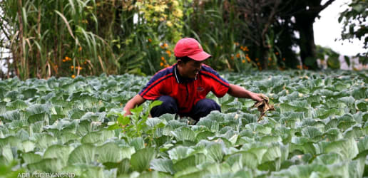 Opinion: Make climate finance inclusive for just transition to net zero