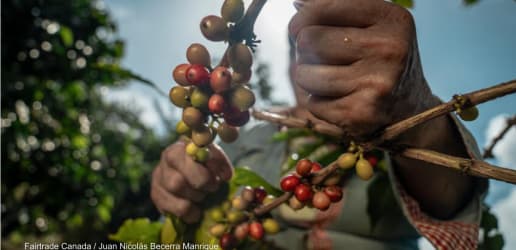 Opinion: Sustainable farming is the key to sustainable food systems