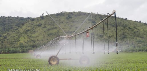 Philanthropist Howard Buffett learns from the seat of his tractor