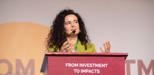 Green Climate Fund head waters down UN speech calling fund 'outdated' 