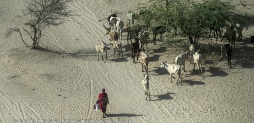 Opinion: How global development can shift to finance uber-resilience