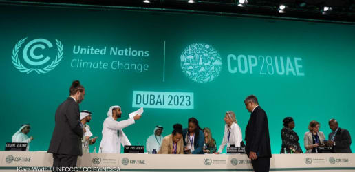 COP 28 adaptation accord blasted as 'devoid of actionable commitments'
