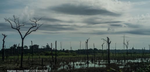 Opinion: Climate finance for all won't happen without philanthropy