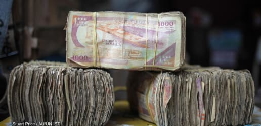 Opinion: How Somalia’s historic debt relief achievement came about