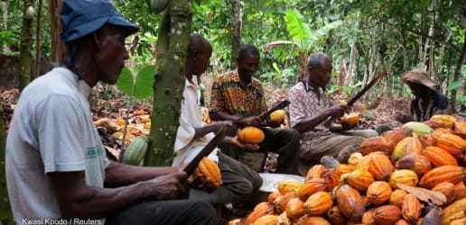 Opinion: The concept of ‘living income’ for farmers is due an update