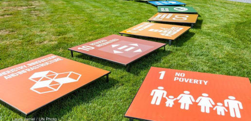 Opinion: Do we know what works to meet the SDGs? 