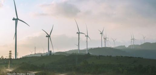 Opinion: A whale-watching moment in the blended finance ecosystem