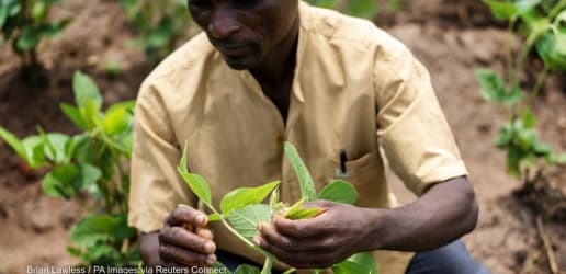 Climate adaptation finance must double by 2025. How will that happen?