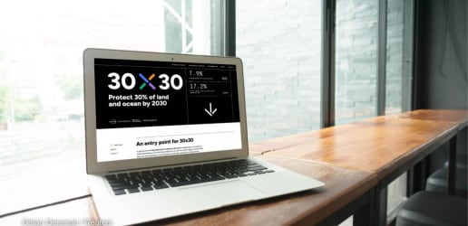Opinion: This new 30x30 tool democratizes data to protect biodiversity