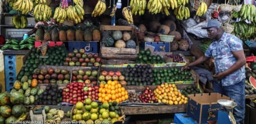 Periodic Table of Food fills ‘black box’ of data on food composition