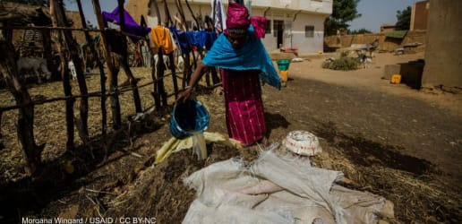 Opinion: Balanced fertilizer use is essential to agriculture in Africa 