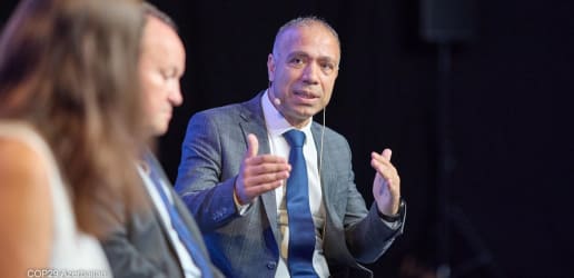 COP 29 presidency ‘committed’ to agree on climate finance goal, CEO says