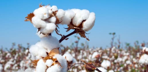 Opinion: The capacity-building imperative — from proposals to progress