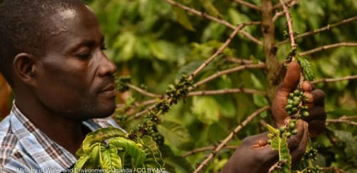 Opinion: Italy’s G7 plan must deliver on food and climate in Africa