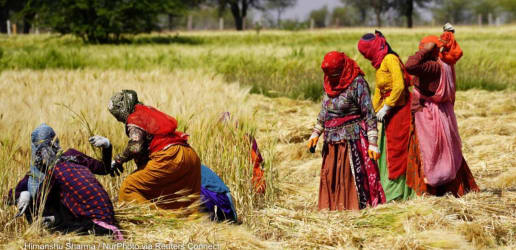 Opinion: Farmers cannot lose out in the race to net-zero