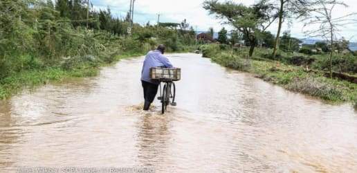 Opinion: Emission cuts in Africa miss the mark — adaptation must come first