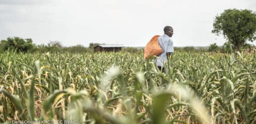 Opinion: Africa’s green revolution requires investment and collaboration