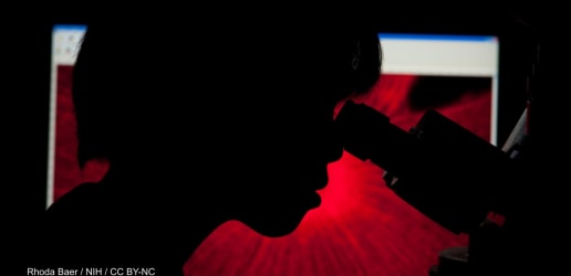 Opinion: Trump’s war on science imperils global development and cooperation