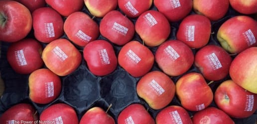 Opinion: Let’s scale what already works in nutrition financing