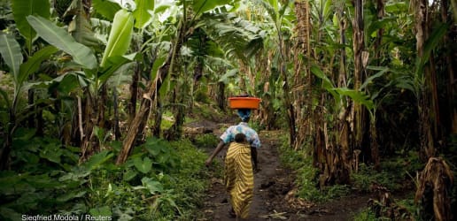 Is unconditional cash the missing link in maternal and child survival?