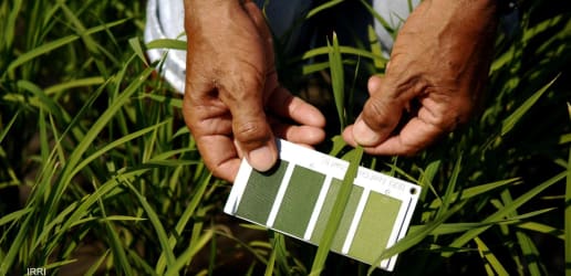 Opinion: Food aid is in crisis. So let’s stop funding agrochemicals