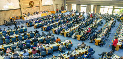 Environment ministers mull climate finance, Africa’s development future