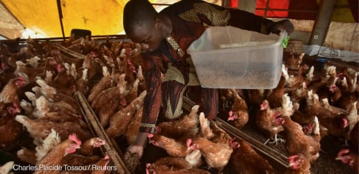 How do we responsibly meet the growing demand for meat, milk, and eggs?