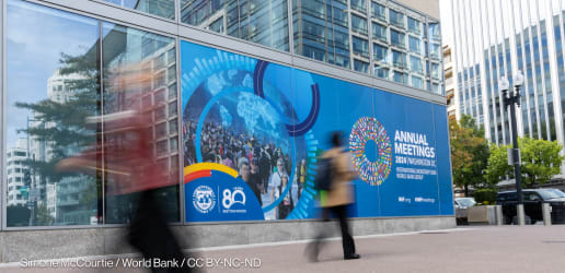 Special edition: What to expect from the World Bank-IMF annual meetings
