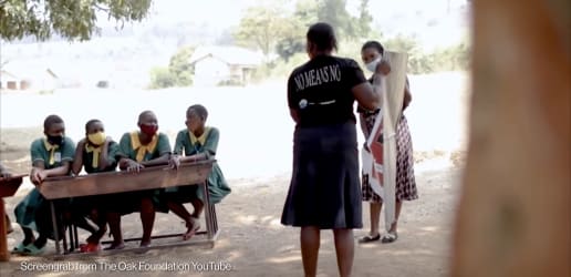 The Oak Foundation’s top grantees in low- and middle-income countries