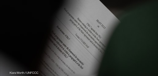 COP30 reporters' notebook: Day 10