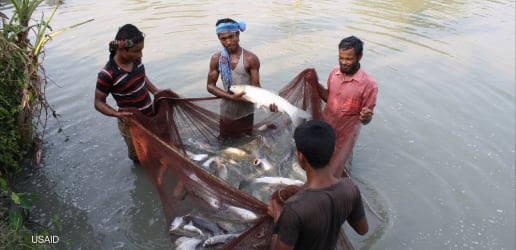 The US is breaking a lifesaving global food aid system 