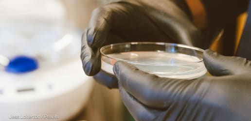 Kenya limits US access to disease outbreak data in new bilateral deal